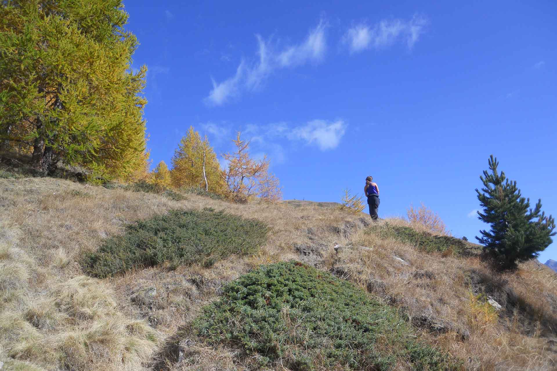 monviso_autunno_03