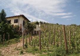 VIGNA MONTEDORO