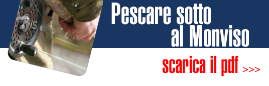 banner-pesca