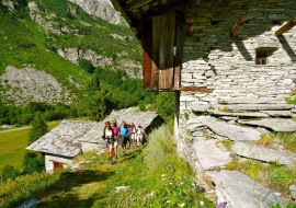 Impronte d’estate: Giro di Tour Real