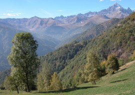 BioMonviso