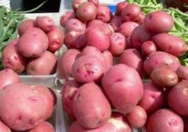 Sagra della patata e prodotti sottobosco