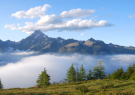 Presentazione di “Pastori di montagne” presso Segnavia
