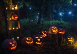 Halloween nel bosco