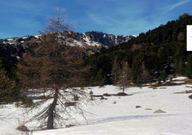 CAPODANNO NEL PARCO DEL MONVISO