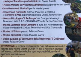 Sagra della castagna e del fungo