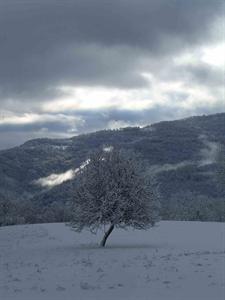 05112012152isasca_inv_1