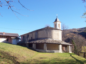 frassino