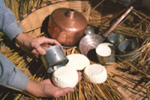 gastronomia3