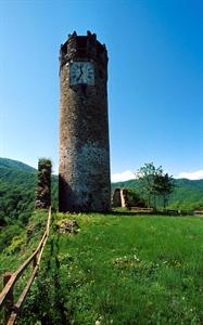 2009201259Torre di Brondello