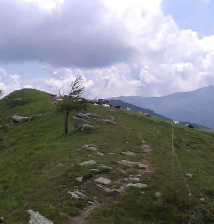 20130704_130642MelleFrassino-Monte Ricordone