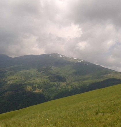 20130704_134925MelleFrassino-Monte Ricordone