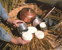 gastronomia3