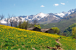 ostana6