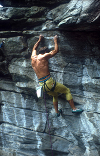 ARRAMPICATA