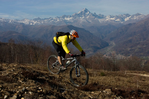BICI
