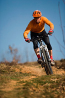 BICI