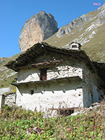 ARCHITETTURA ALPINA