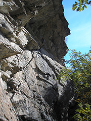 ARRAMPICATA