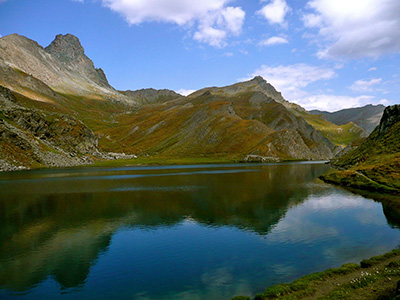 LAGHI