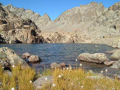 LAGHI