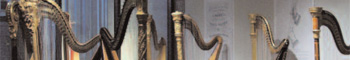 MUSEI