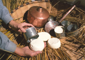 gastronomia3
