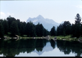 Degustazione nel bosco e animazioni serali al rifugio Alevé