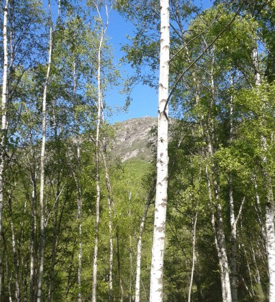 20130512_102350Rossana – Monte San Bernardo