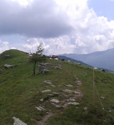 20130704_130642MelleFrassino-Monte Ricordone