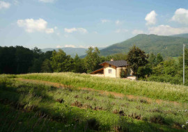Agricampeggio Monviso