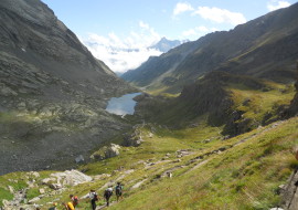 The wild forest trek – nel bosco dell’Alevé