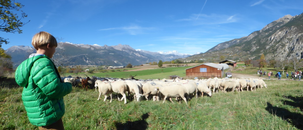 San Luca a Guillestre il 17 ottobre e chiusura strada colle dell’Agnello