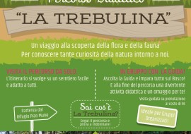 La Trebulina, percorso didattico nel bosco