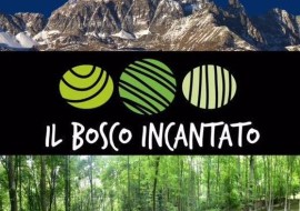 Il Padre nostro – una cura rivoluzionaria – Bosco Incantato