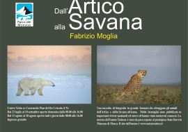 Dall’artico alla savana: uno sguardo sul mondo