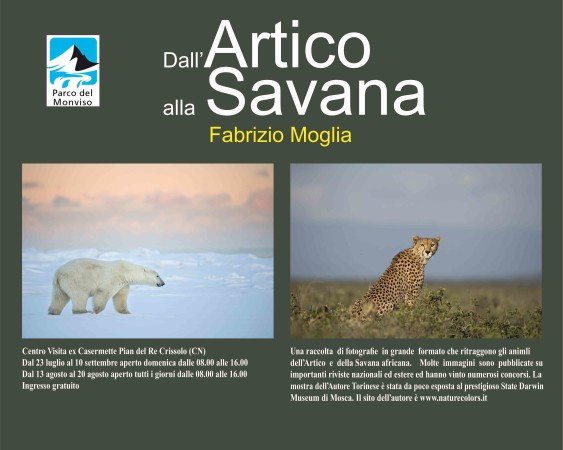 Dall’artico alla savana: uno sguardo sul mondo
