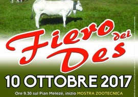 La Fiero dal Des a Bellino