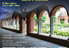 Arte e Ratavuloira,  III edizione