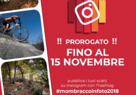 #mombraccoinfoto2018