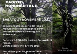 Escursione al faggio monumentale di Venasca