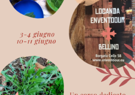 CORSO ERBE SPONTANEE a Bellino