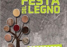 FESTA DEL LEGNO a Brossasco