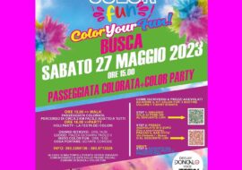 COLOR FUN a Busca