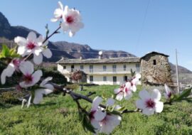 Le Faye B&B – Home restaurant <span class="fa fa-star"></span><span class="fa fa-star"></span><span class="fa fa-star"></span><span class="fa fa-star"></span>